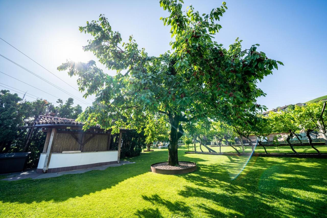 Hotel Frangart An Der Weinstrasse Appiano Sulla Strada Del Vino Ngoại thất bức ảnh